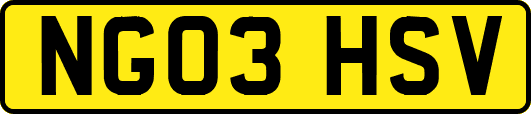 NG03HSV