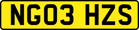 NG03HZS