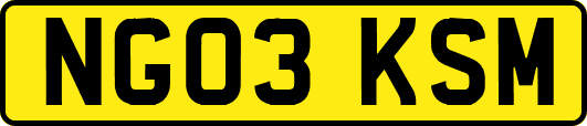 NG03KSM