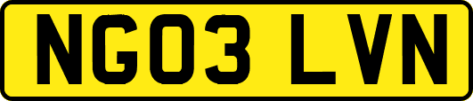 NG03LVN