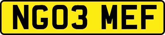 NG03MEF