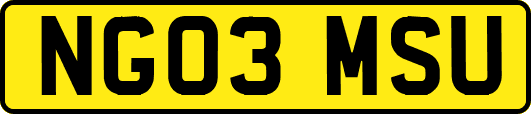 NG03MSU