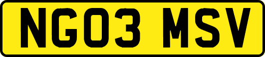 NG03MSV