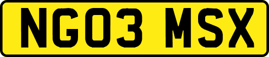 NG03MSX