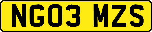 NG03MZS