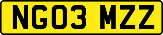 NG03MZZ
