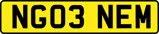 NG03NEM