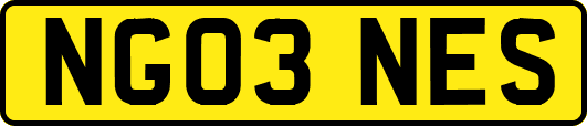 NG03NES