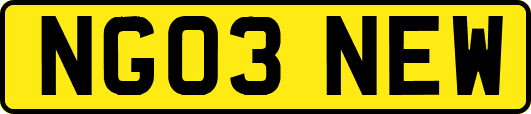 NG03NEW