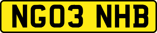 NG03NHB