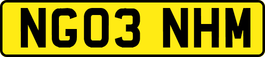 NG03NHM