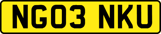 NG03NKU