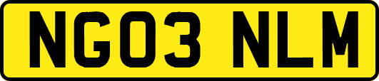 NG03NLM