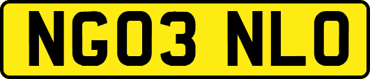 NG03NLO