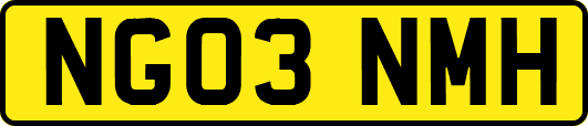 NG03NMH