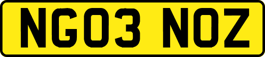NG03NOZ