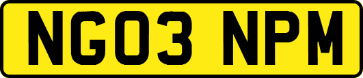 NG03NPM