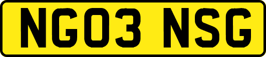 NG03NSG