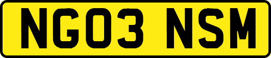 NG03NSM