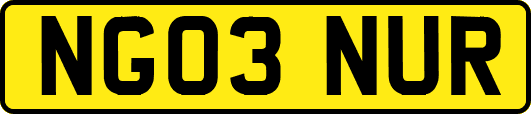 NG03NUR