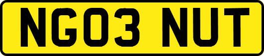 NG03NUT