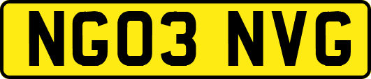 NG03NVG