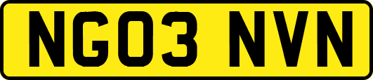 NG03NVN