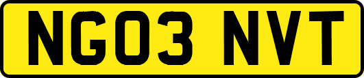 NG03NVT