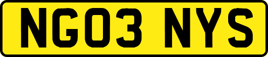 NG03NYS