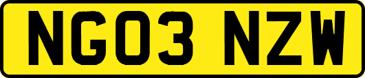 NG03NZW