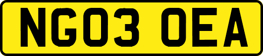 NG03OEA