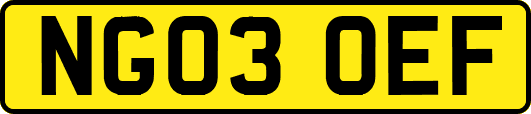 NG03OEF