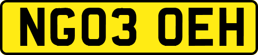 NG03OEH