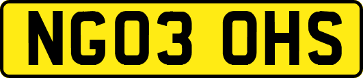 NG03OHS