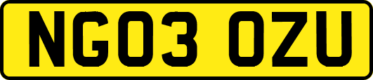 NG03OZU