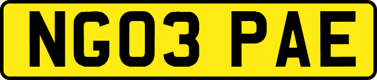 NG03PAE