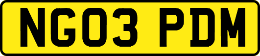 NG03PDM