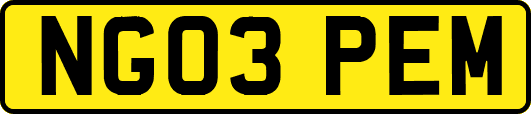 NG03PEM