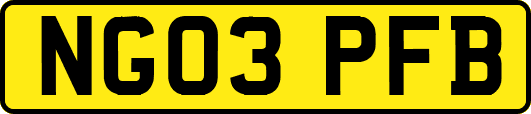 NG03PFB