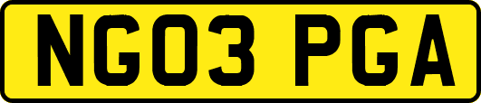 NG03PGA