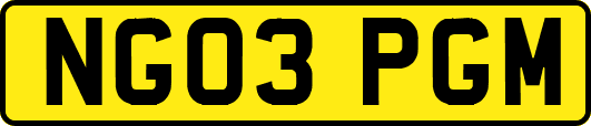 NG03PGM