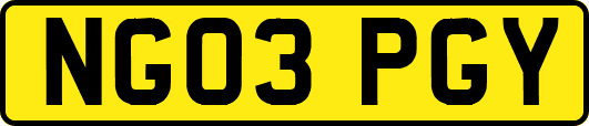 NG03PGY