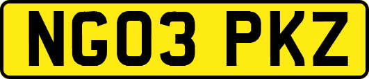 NG03PKZ