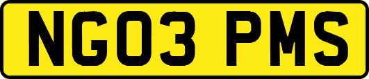 NG03PMS