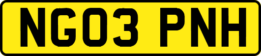 NG03PNH