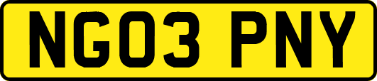 NG03PNY