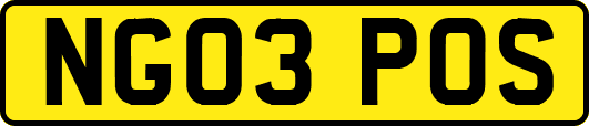 NG03POS