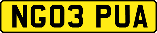 NG03PUA