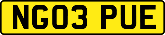 NG03PUE