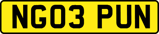 NG03PUN
